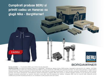 Promotia BERU