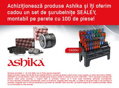 Promotia ASHIKA