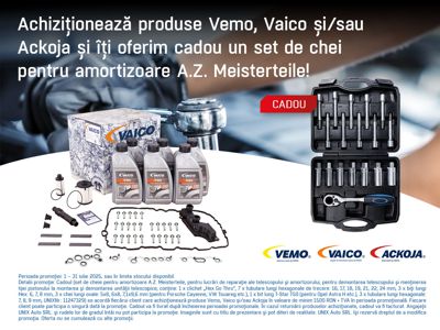 Promotia VEMO, VAICO, ACKOJA