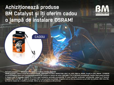 Promotia BM CATALYSTS