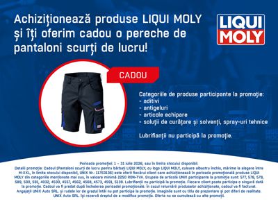 Promotia Liqui Moly